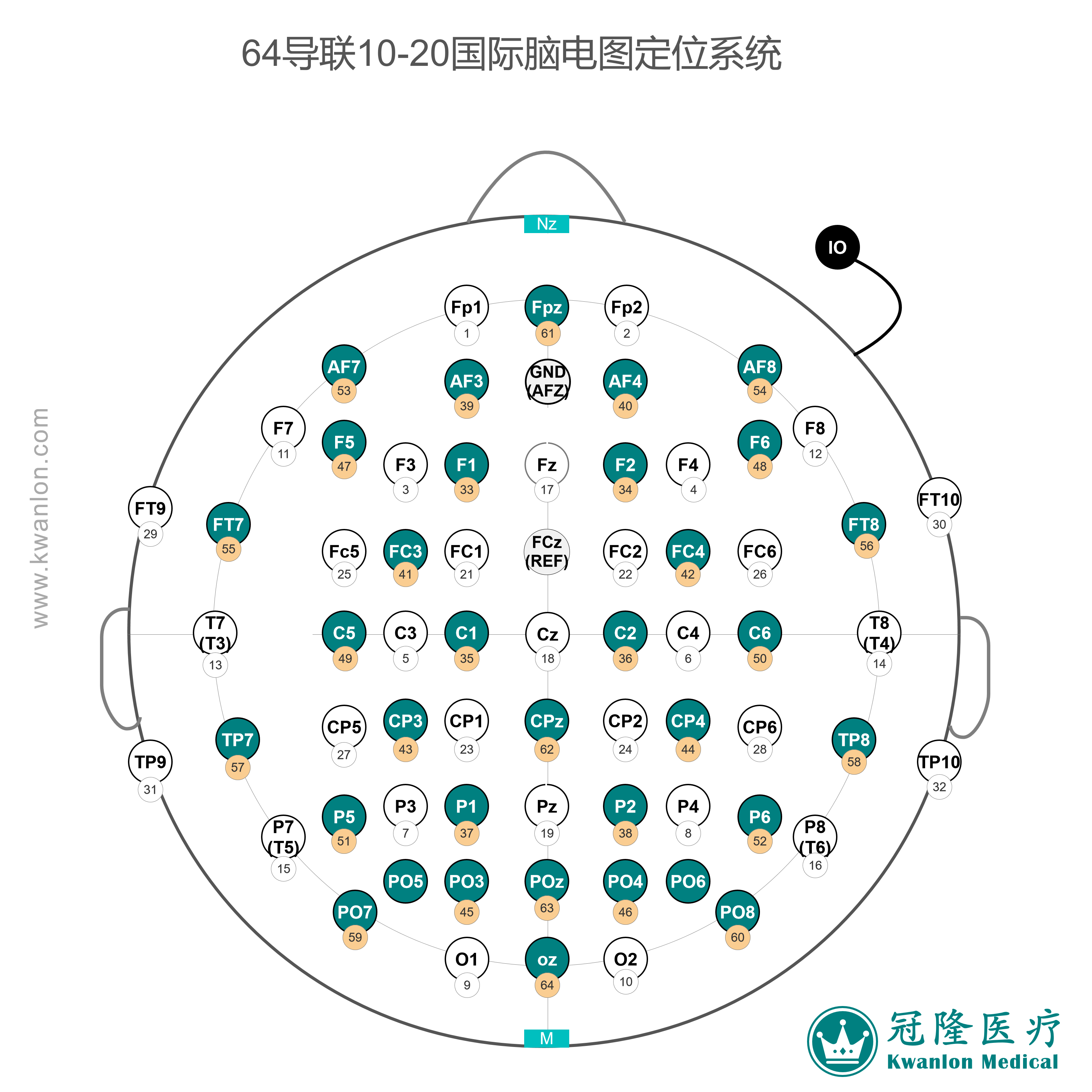 64導(dǎo)國(guó)際腦電圖電極定位