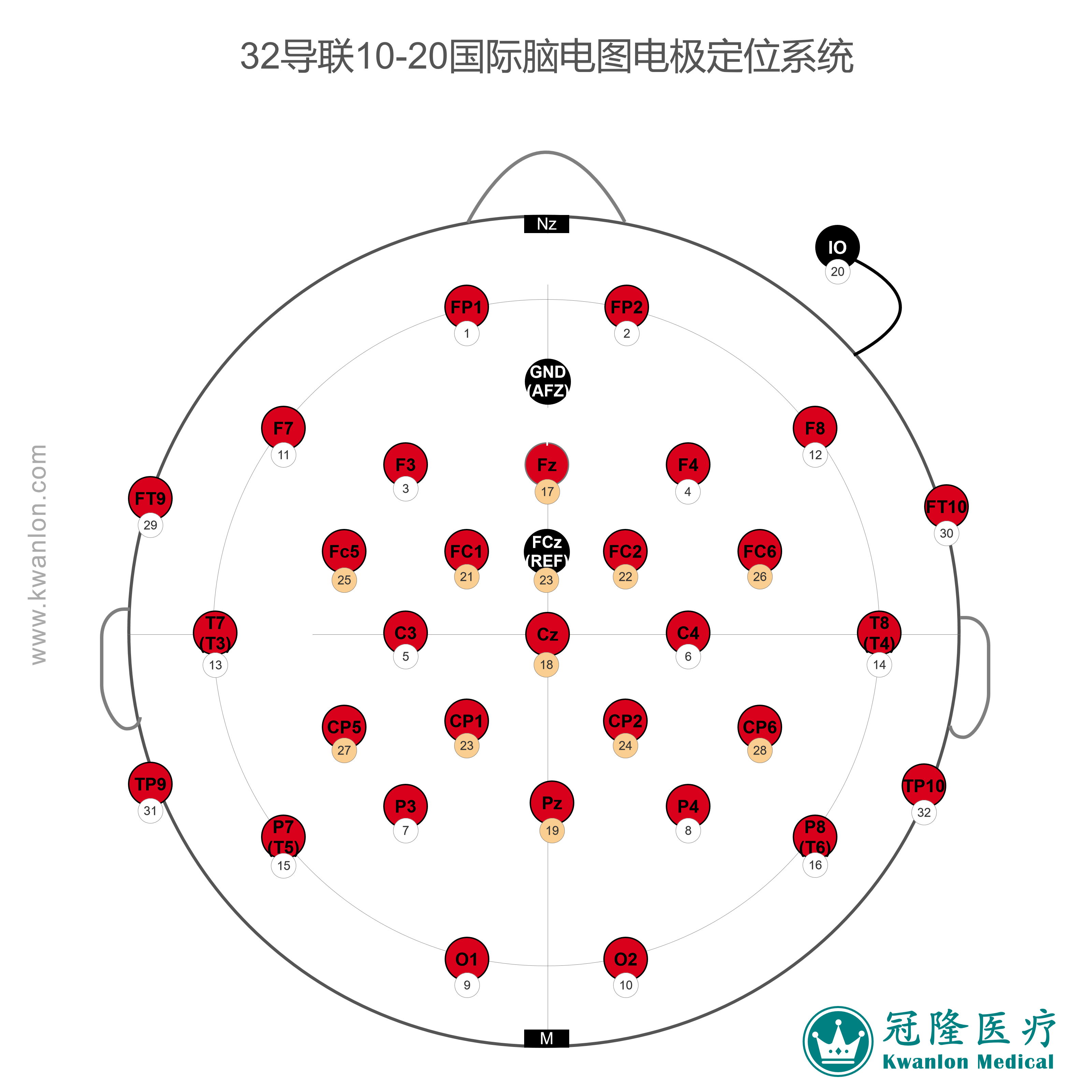 33導(dǎo)10-20國際腦電圖電極定位
